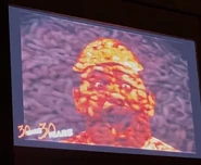 Scene from the queue video featured in the 30 Years, 30 Fears, Montage during Halloween Horror Nights 30 Image from HorrorUnearthed