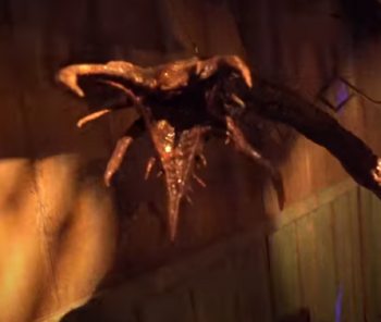 Flayed Minion