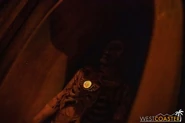Image from Westcoaster.com