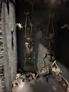 Image from HorrorUnearthed