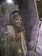 20210929 093435.jpg (3.44 MB)