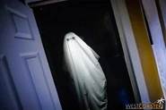 Image from Westcoaster.com