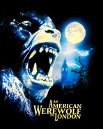 Hollywood T-Shirt Design