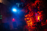 Image from UniversalParksNewsToday
