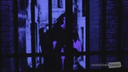 Image from Undercover Tourist
