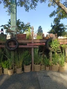 GT5e22jXcAAaF29.jpg (505 KB) Image from SpeculationMatt on Twitter