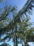 GTvJtYhWgAAhY3I.jpg (1 MB) Image from SpeculationMatt on Twitter