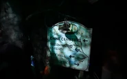 Image from UO Fan