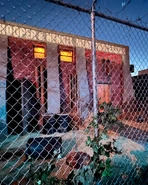 Image from diabreadic_ on Instagram