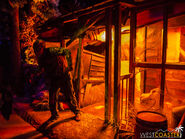 Image from Westcoaster.net