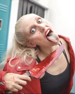 Image from exploringattractions on Instagram