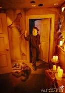 Image from Westcoaster.com
