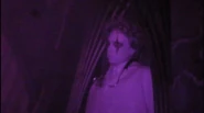 Image from The TimTracker