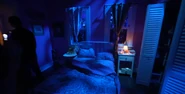 Image from Attractions Magazine