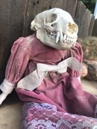 Image from John Murdy's twitter
