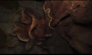 Image from Wesh 2