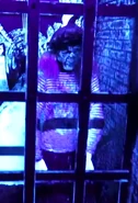 Image from Attractions Magazine on Youtube.