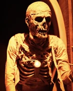 Image from grim.grinning.ghosts on Instagram