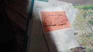 Image from TheTimTracker