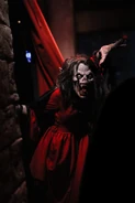 Dracula's Daughter featured in the Universal Monsters: Eternal Bloodlines haunted house during Halloween Horror Nights 2024 (Hollywood Image from @grimgrinningjen on Twitter
