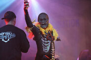 Image from the_bride_of_hhn on Instagram