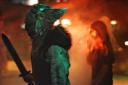 Image from ShootTheBatsPhotography