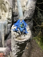 Image from HorrorUnearthed