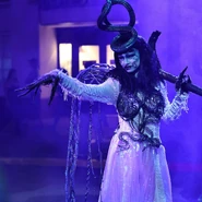 Image from Cameron Mosley