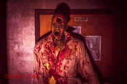 Image from Dejiki.com