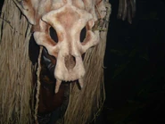 Image from the now defunct IOACentral.com