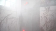 Image from InsideTheMagic