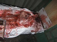 Image from chainsawwolf's Photobucket.