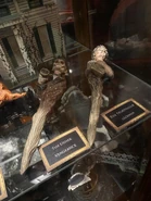 Image from HorrorUnearthed