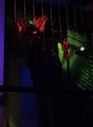 Image from Relaxing Reality on Youtube.