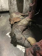 Image from HorrorUnearthed