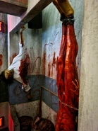 20210930 124640.jpg (1.94 MB)