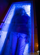 Image from Westcoaster.com