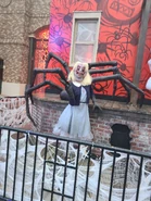 Image from HHNManics