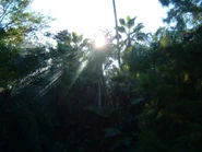 Image from the now defunct IOACentral.com