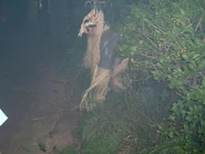 Image from the now defunct IOACentral.com