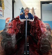 Image from ashashmarie on Instagram