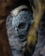 Image from tylerhaunt on Instagram