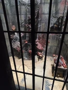 20210929 092952.jpg (2.04 MB) Image from HHNManics