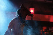 Image from the_bride_of_hhn on Instagram