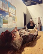 Image from @haley_capnkirk on Instagram