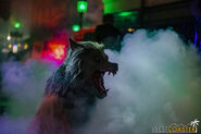 Image from Westcoaster.com