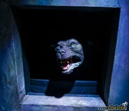 From Westcoaster.com