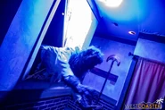 Image from Westcoaster.com