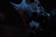 Image from the_bride_of_hhn on Instagram