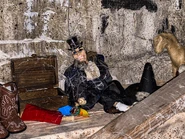 Credit to Dallas thompson and relive the magic